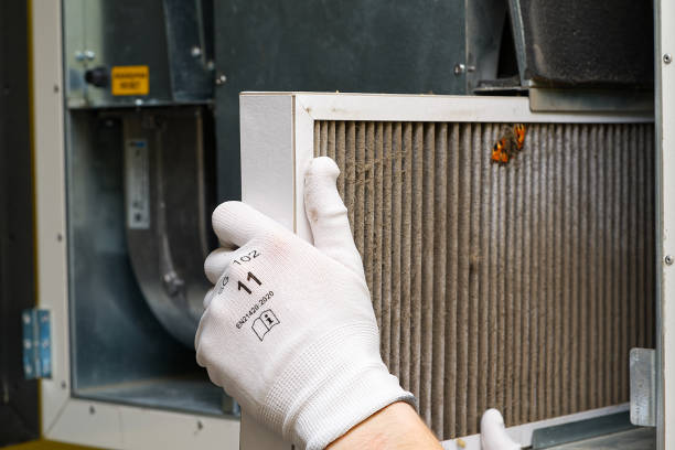 Best Affordable HVAC Duct Cleaning  in Friendswood, TX