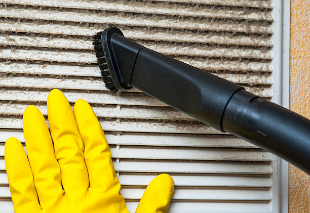 Best Affordable Duct Cleaning Services  in Friendswood, TX